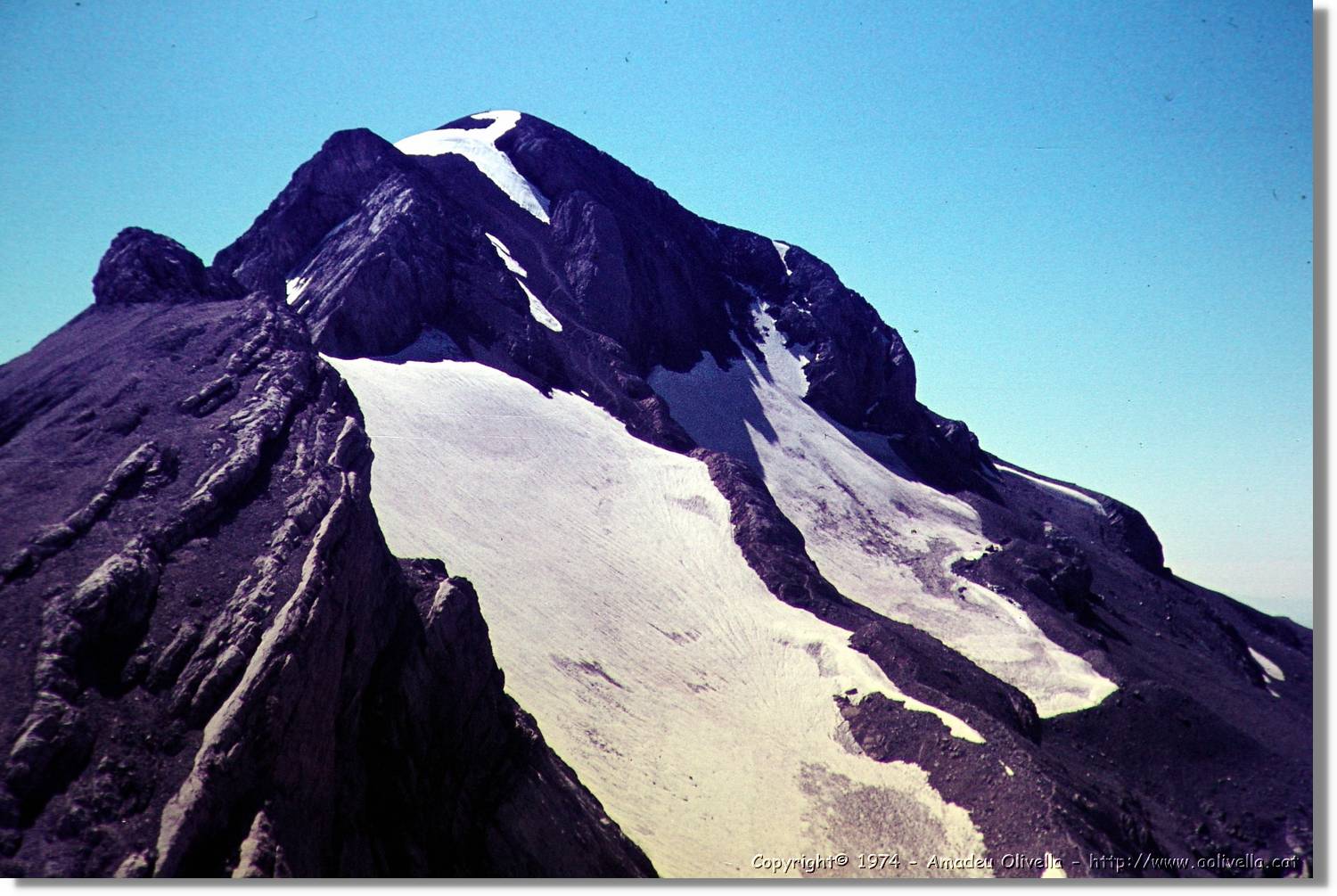 Pineta_013.jpg