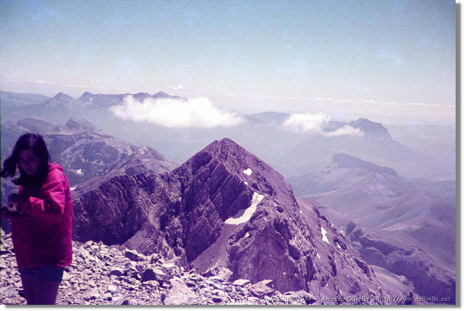 Pineta_015.jpg