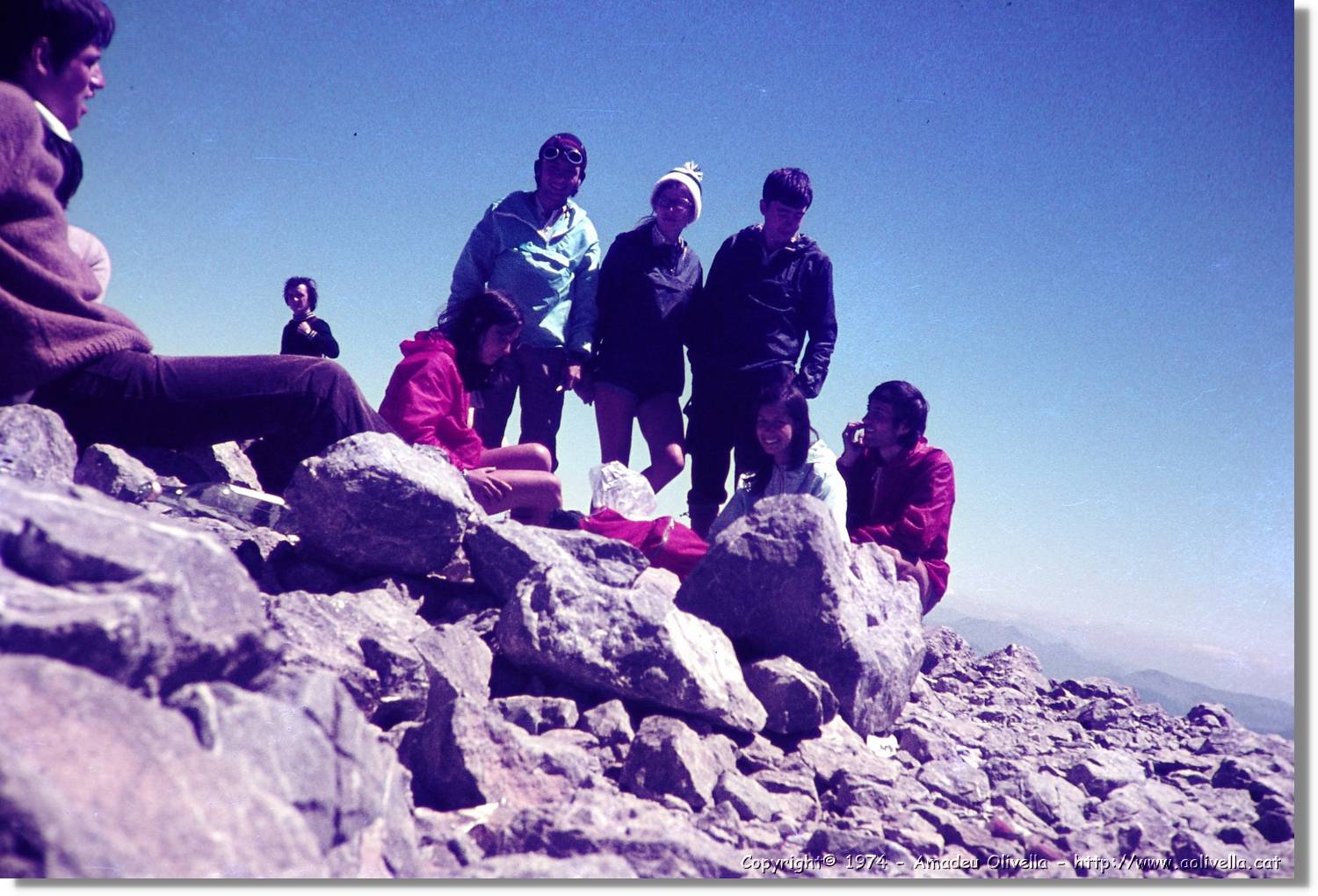 Pineta_017.jpg