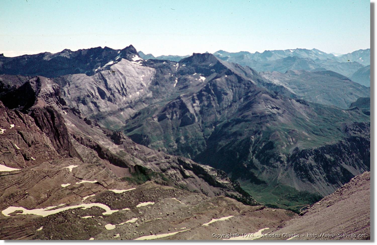 Pineta_024.jpg