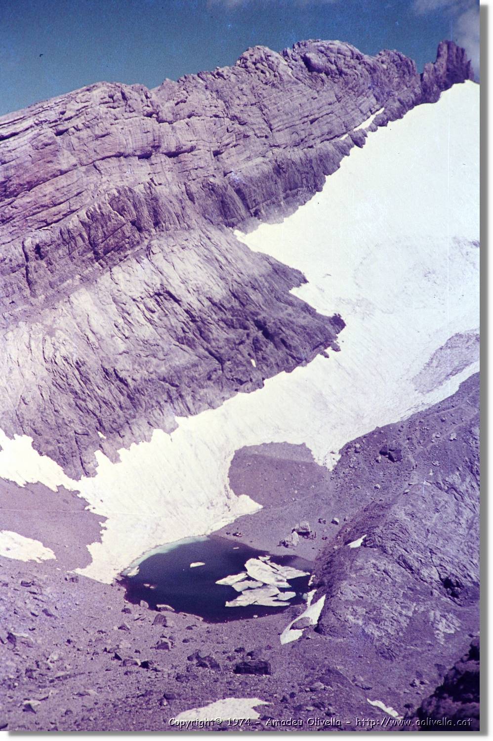 Pineta_026.jpg