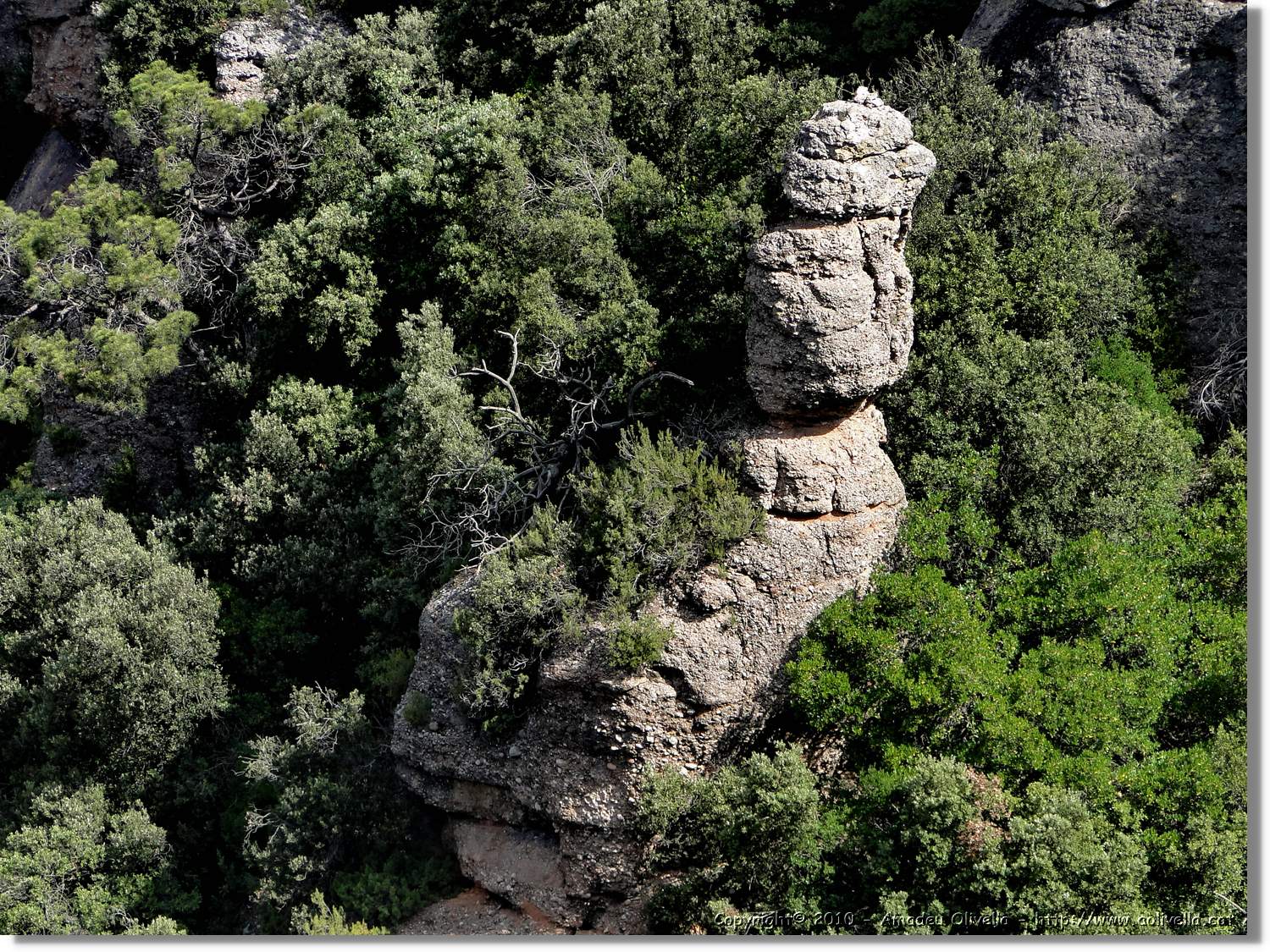 Rodona_029.jpg
