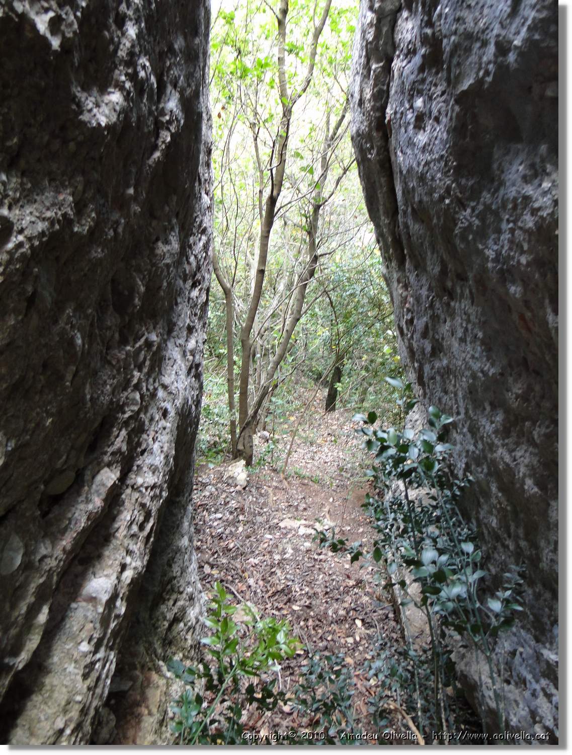 Rodona_043.jpg