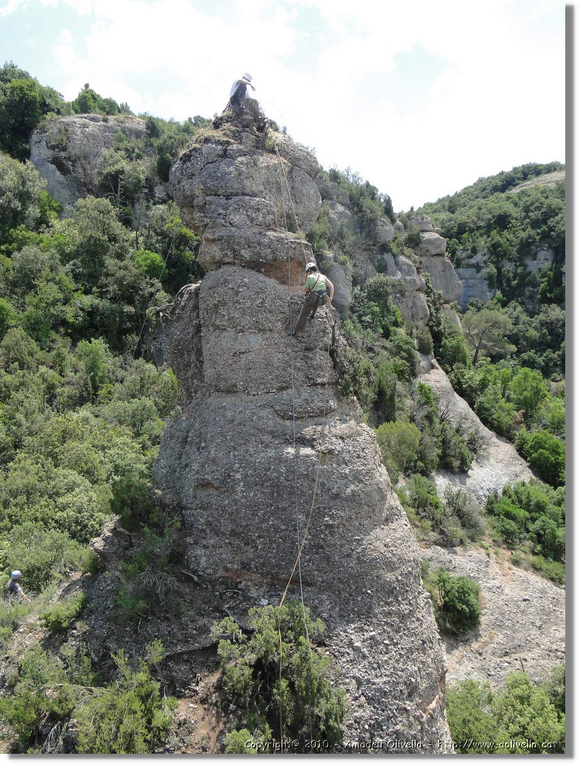 Rodona_114.jpg