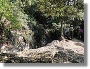 Rodona_011.jpg
