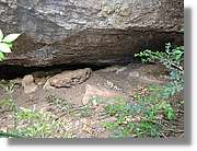 Rodona_044.jpg