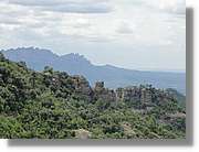 Rodona_119.jpg
