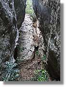 Rodona_145.jpg
