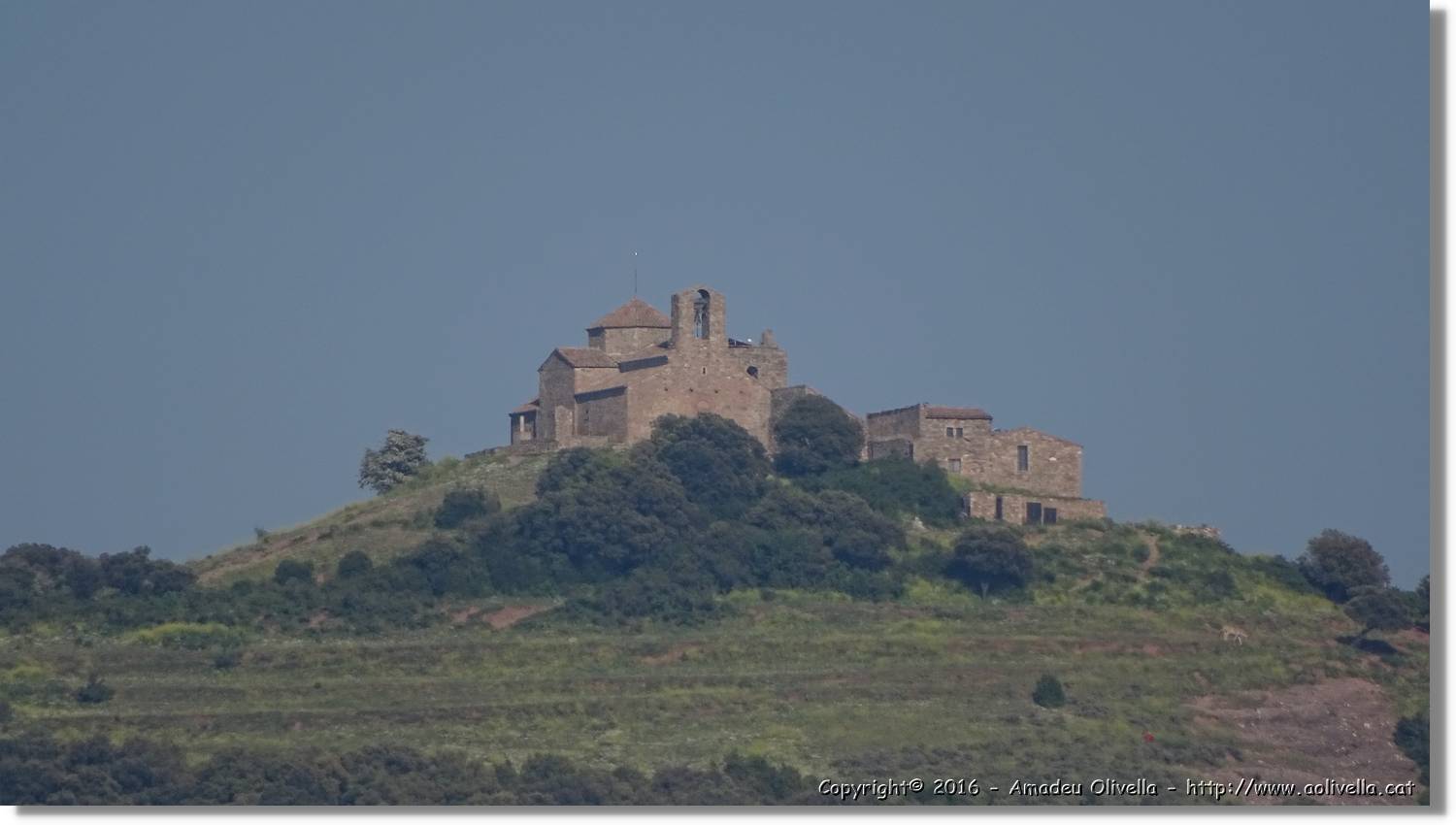 Llorenc_147.jpg