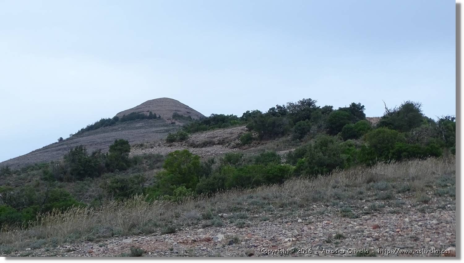 Llorenc_105.jpg