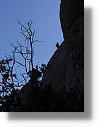 teresina_ 35.jpg(143 KB)
