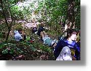 teresina_ 60.jpg(365 KB)