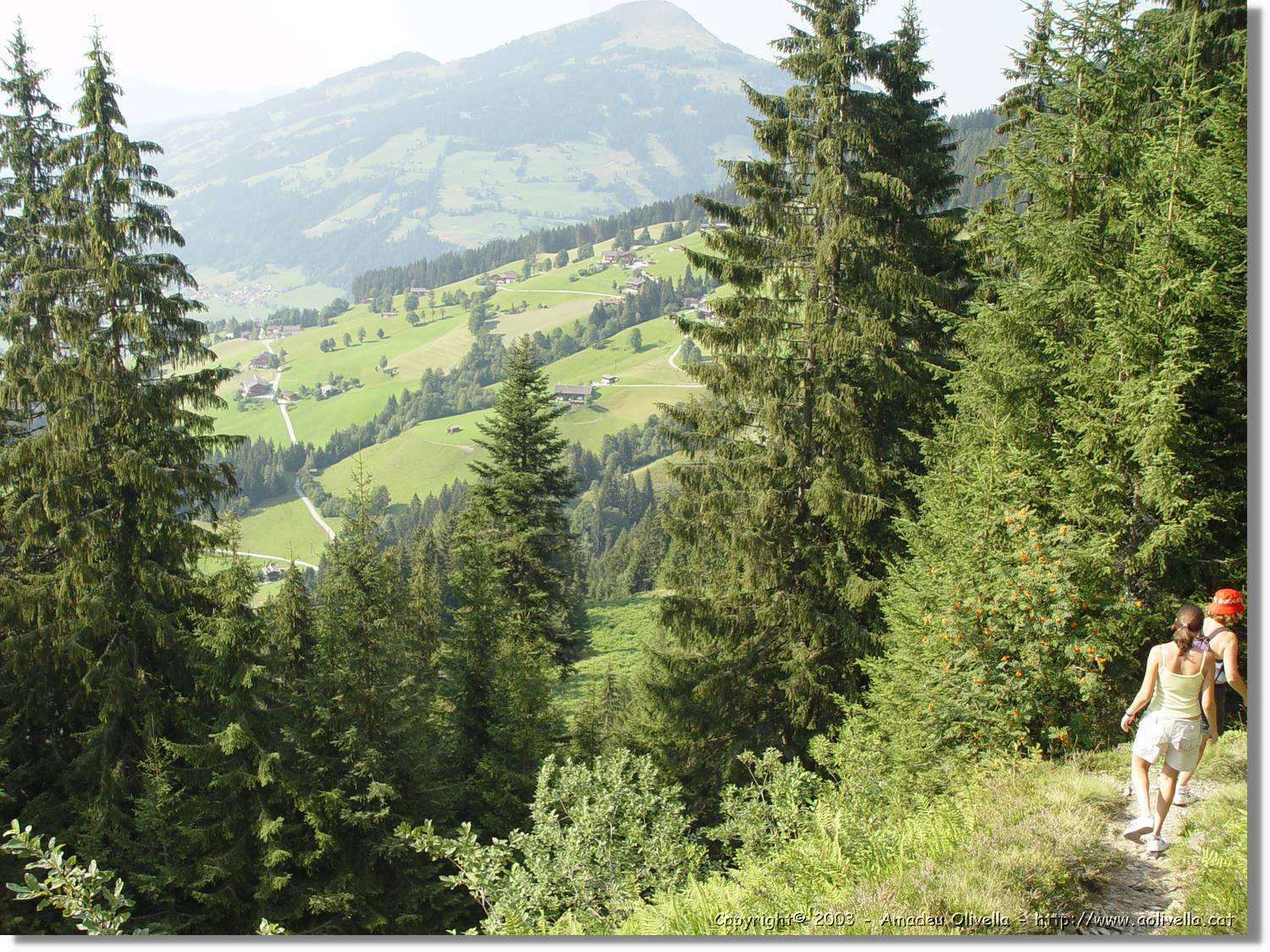 Tirol_059.jpg