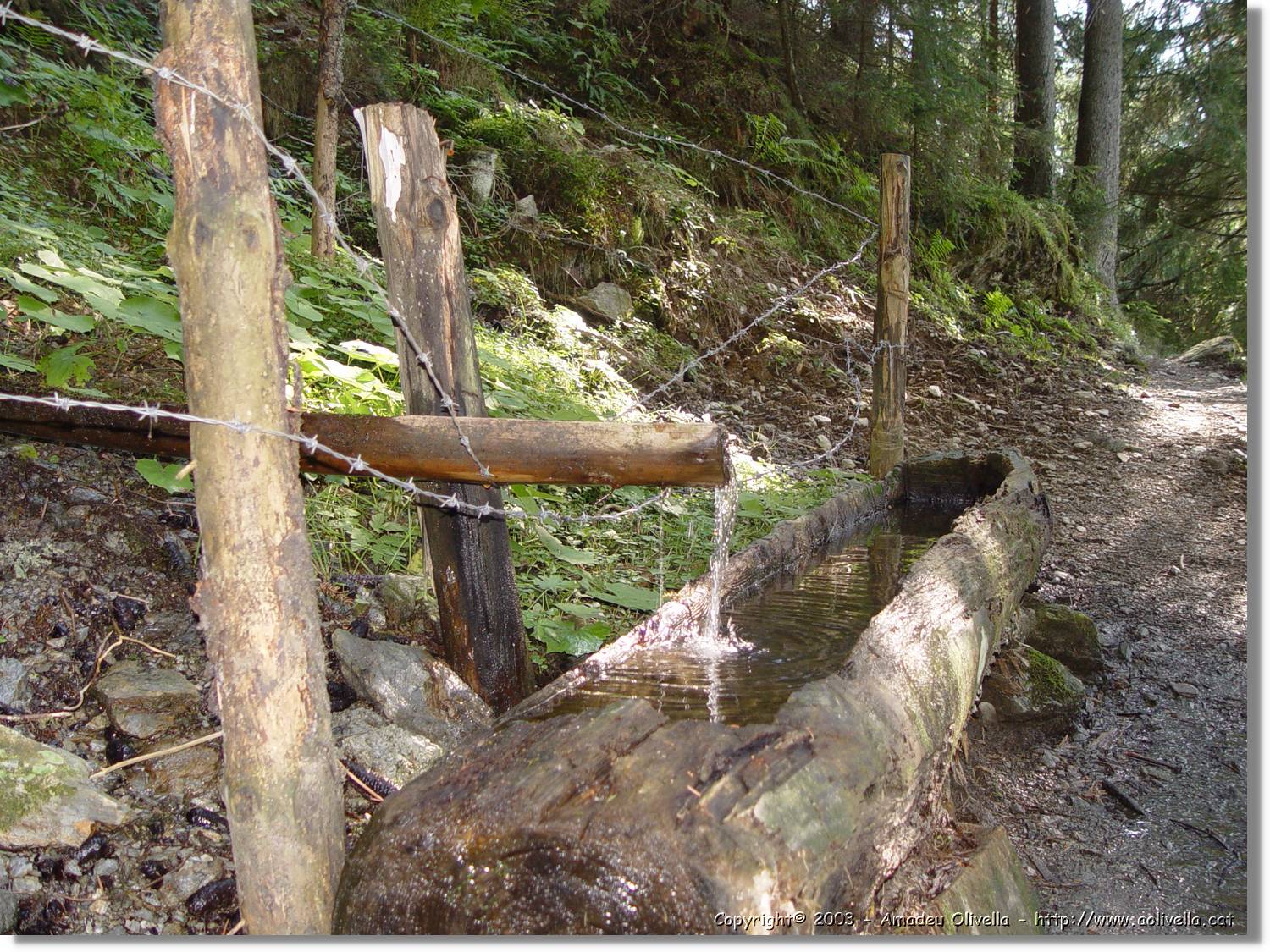Tirol_060.jpg