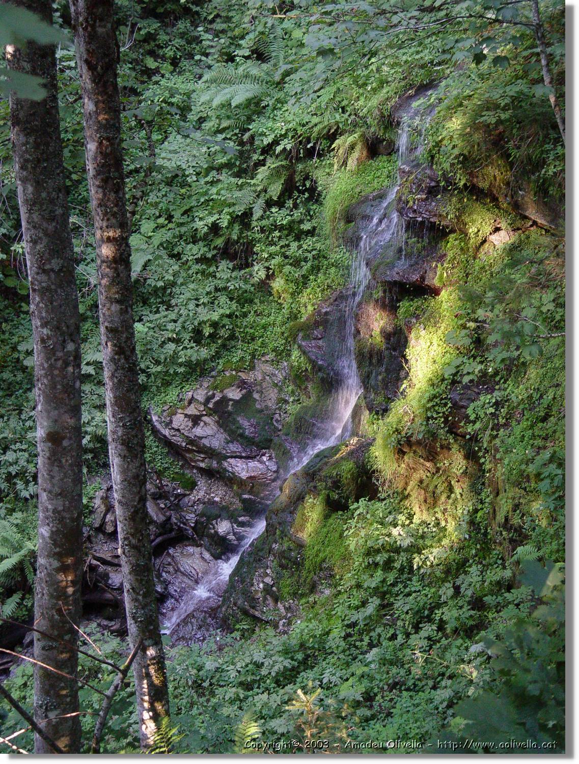 Tirol_075.jpg