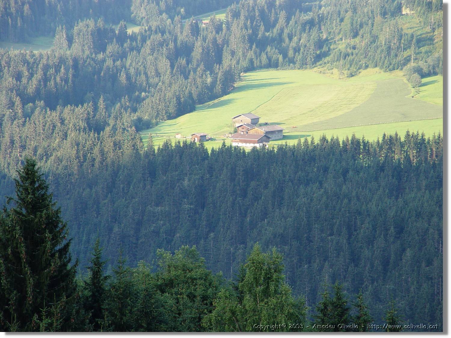 Tirol_084.jpg