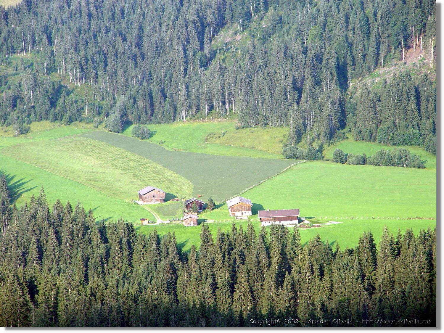Tirol_086.jpg