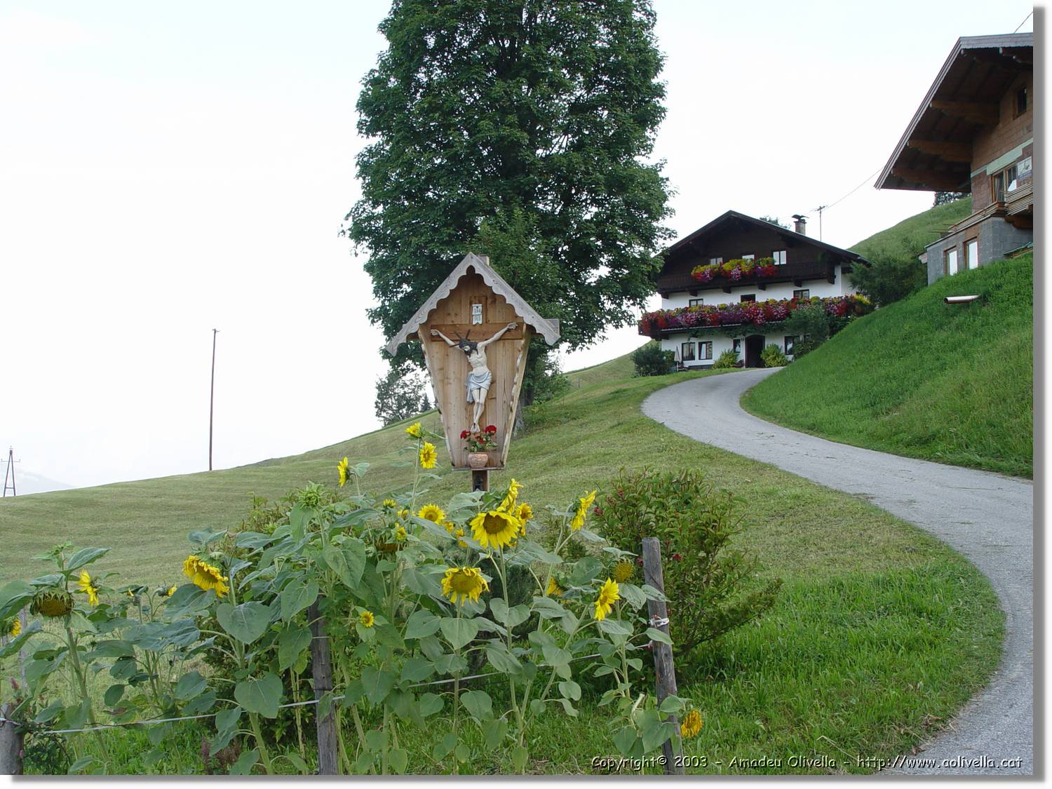Tirol_087.jpg