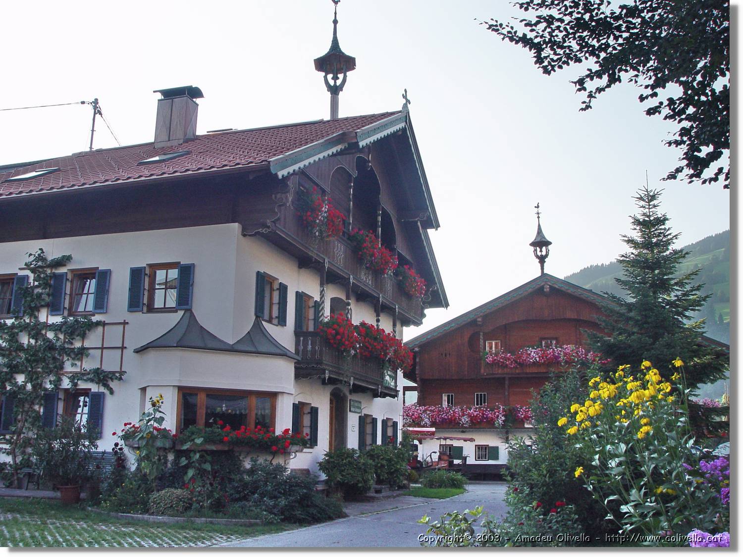 Tirol_092.jpg