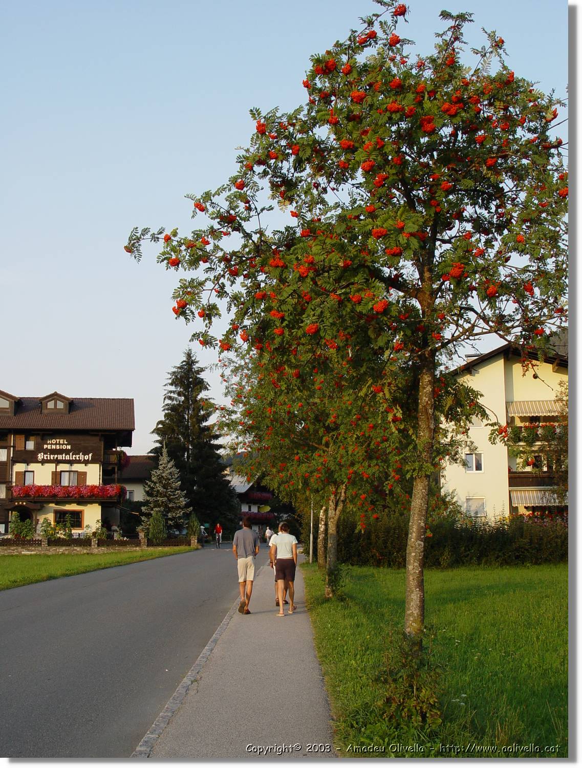 Tirol_109.jpg