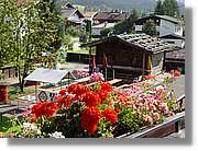 Tirol_124.jpg