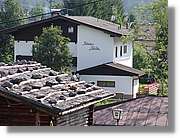 Tirol_125.jpg