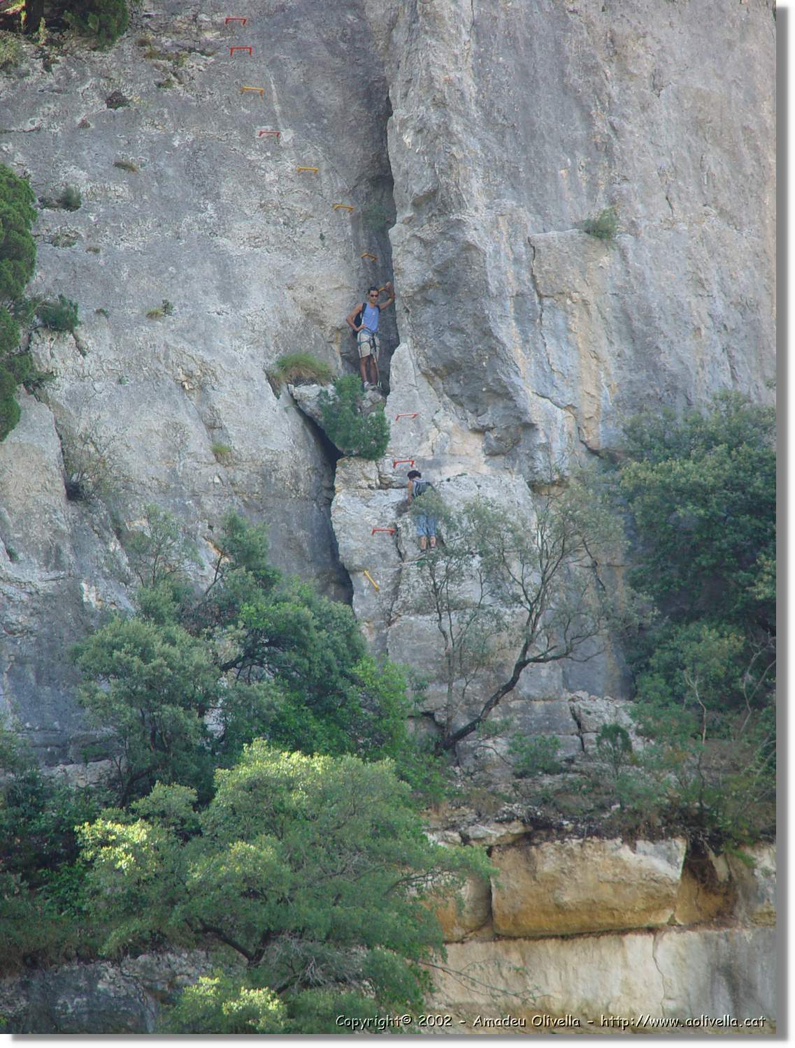 Ferrada_014.jpg