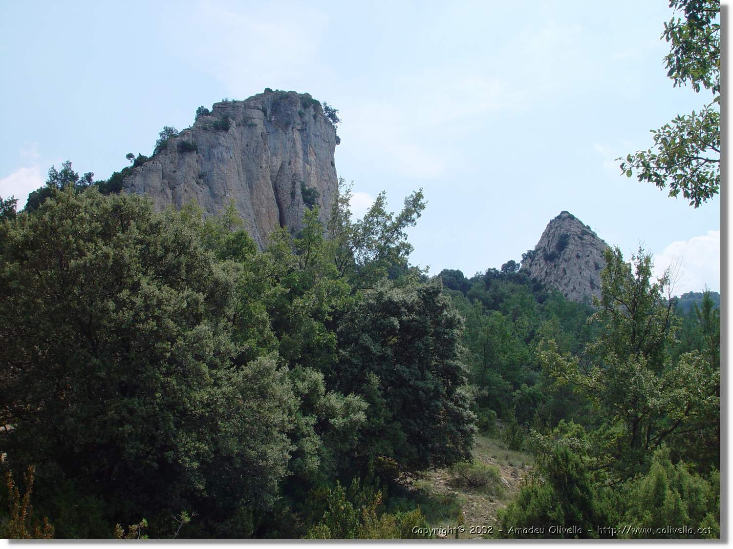 Ferrada_028.jpg