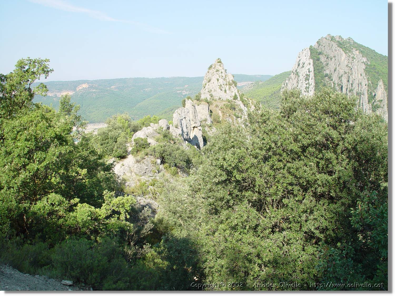 ferrada_02.jpg