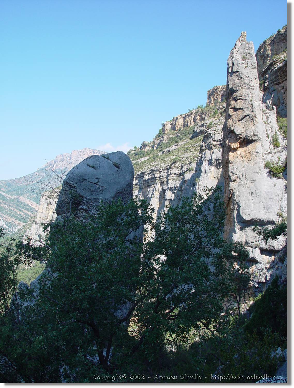 ferrada_07.jpg
