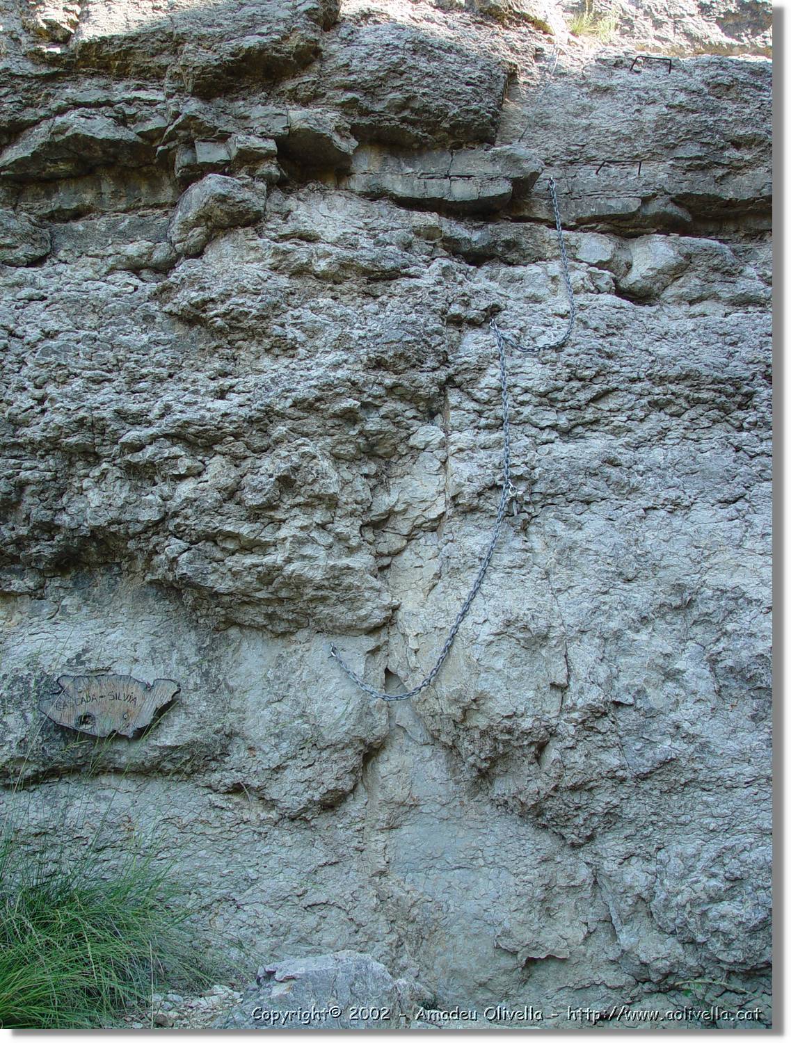 ferrada_09.jpg