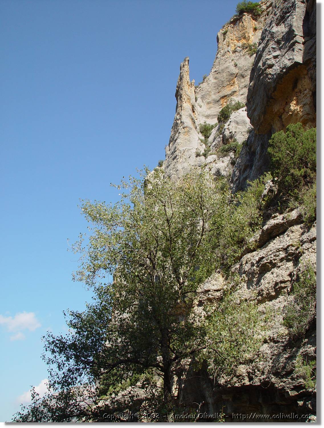 ferrada_10.jpg