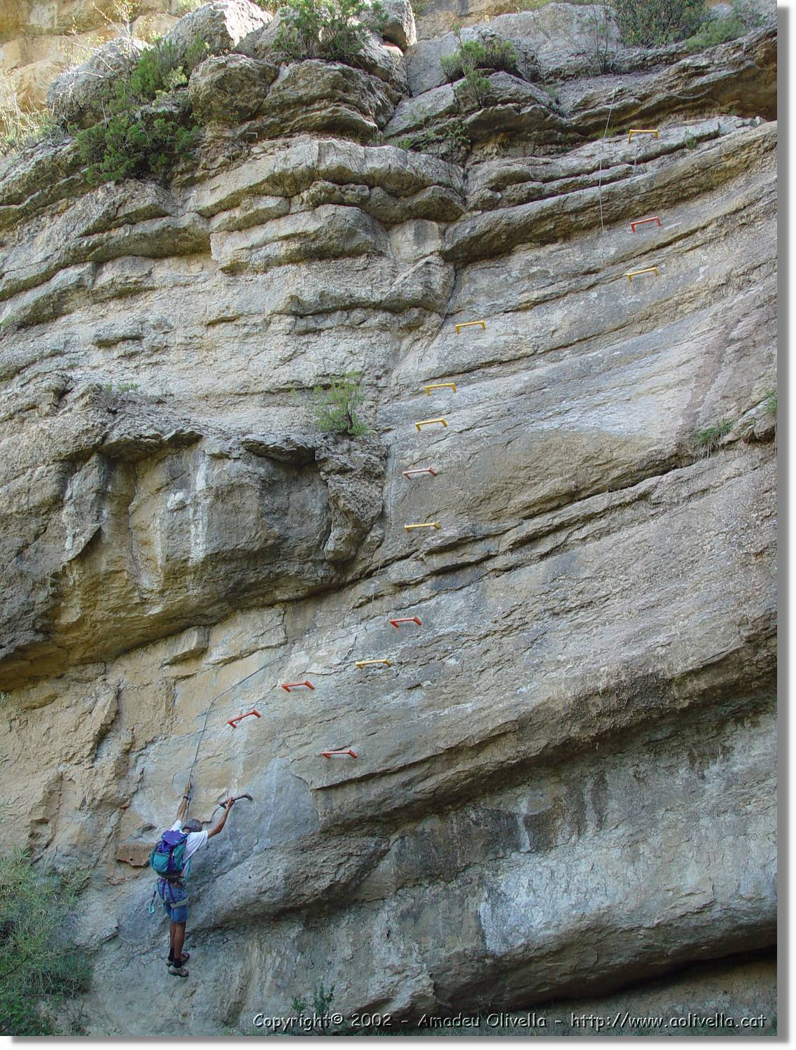 ferrada_15.jpg