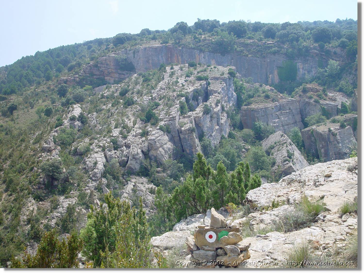 ferrada_24.jpg