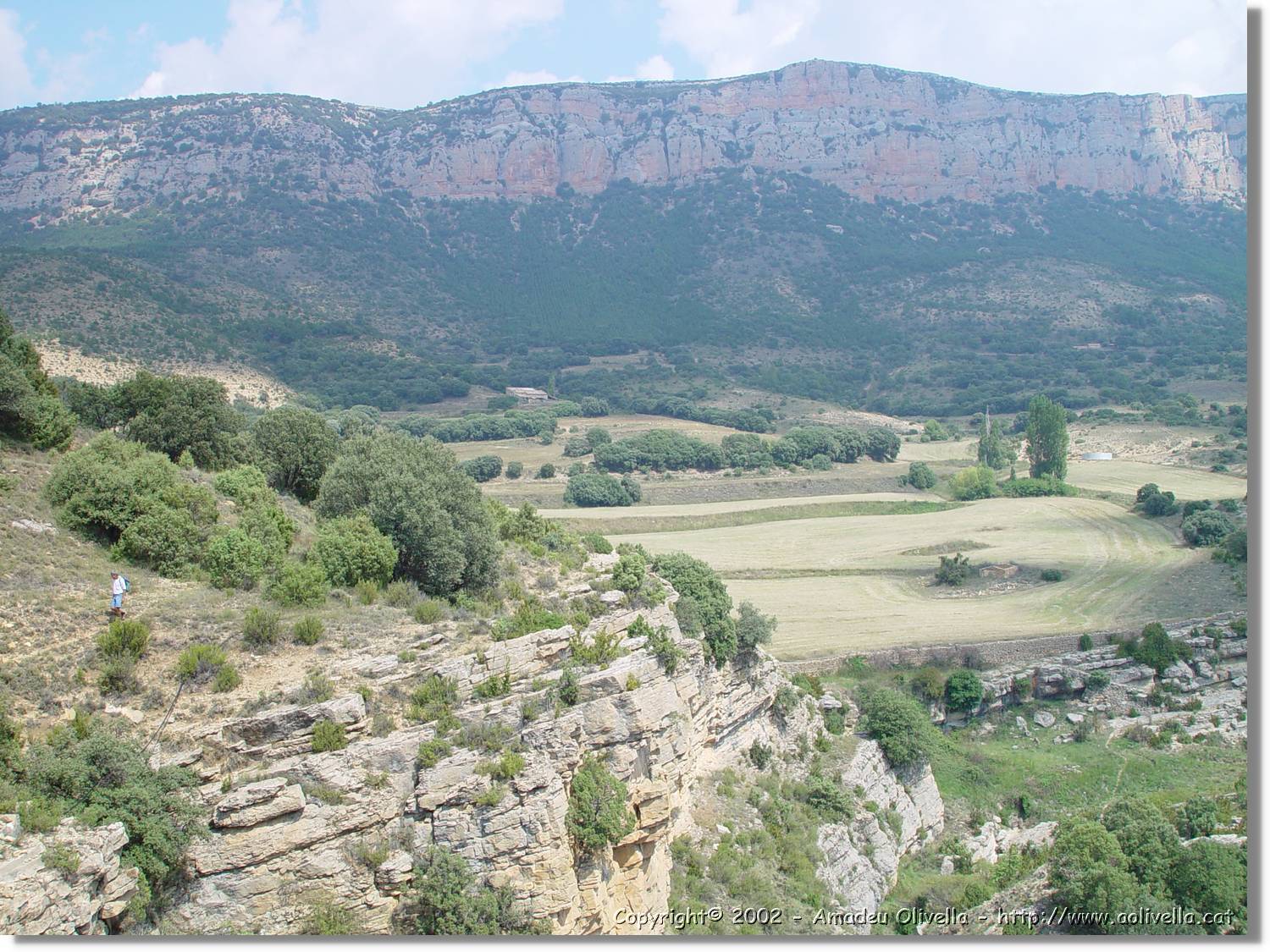 ferrada_26.jpg