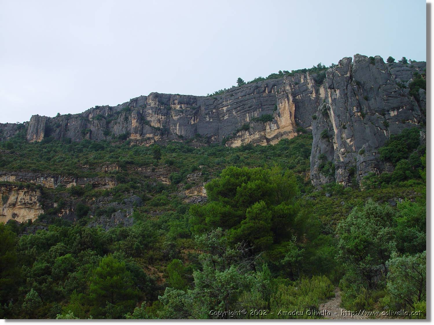 ferrada_35.jpg