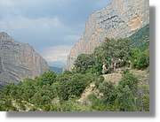 Ferrada_031.jpg