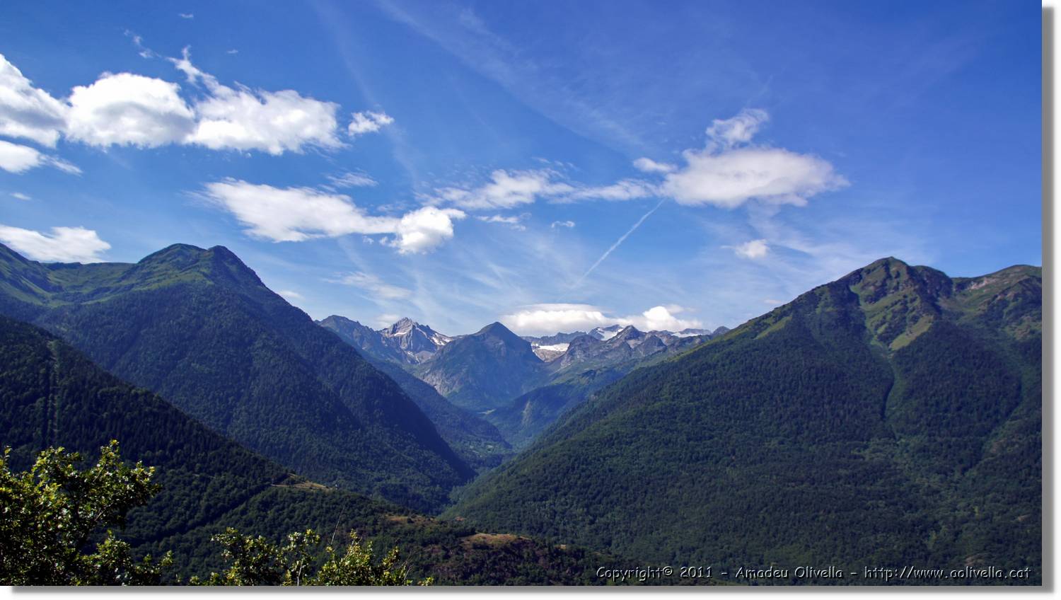 Montlude_001.jpg