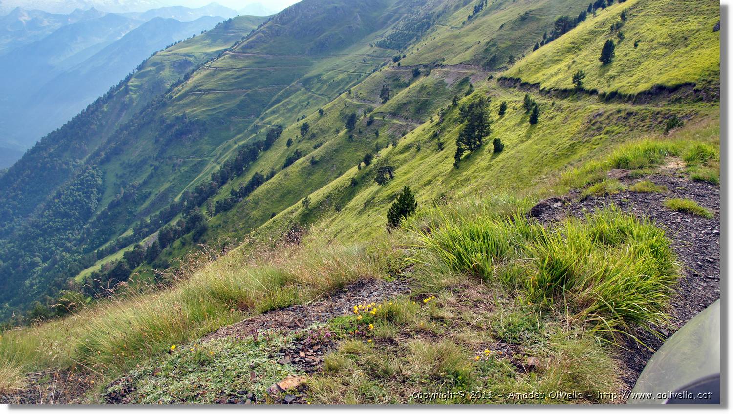 Montlude_124.jpg