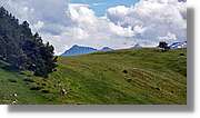 Montlude_109.jpg