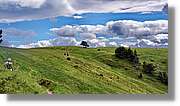 Montlude_111.jpg