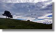 Montlude_114.jpg