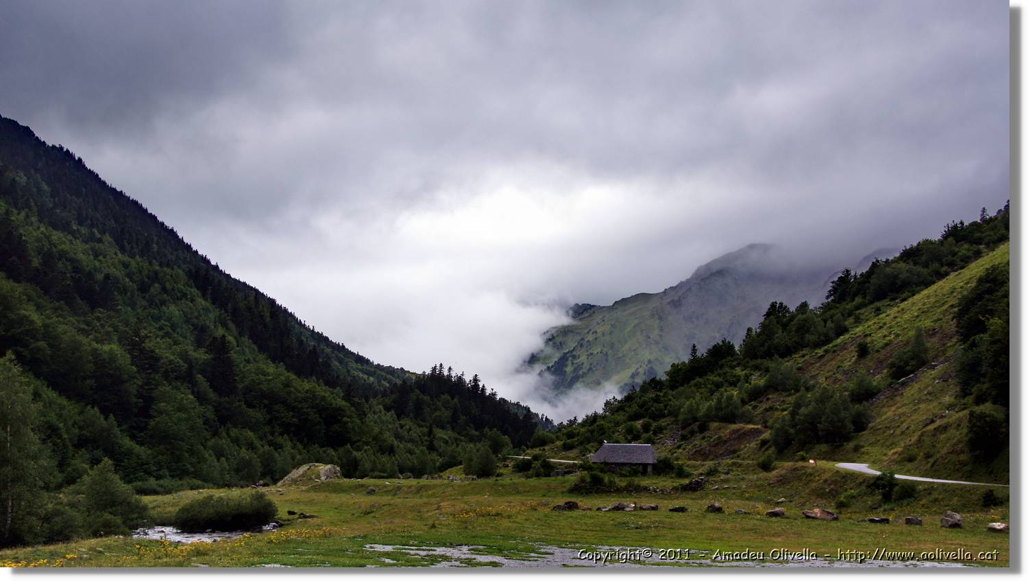 Saut_Pish_006.jpg