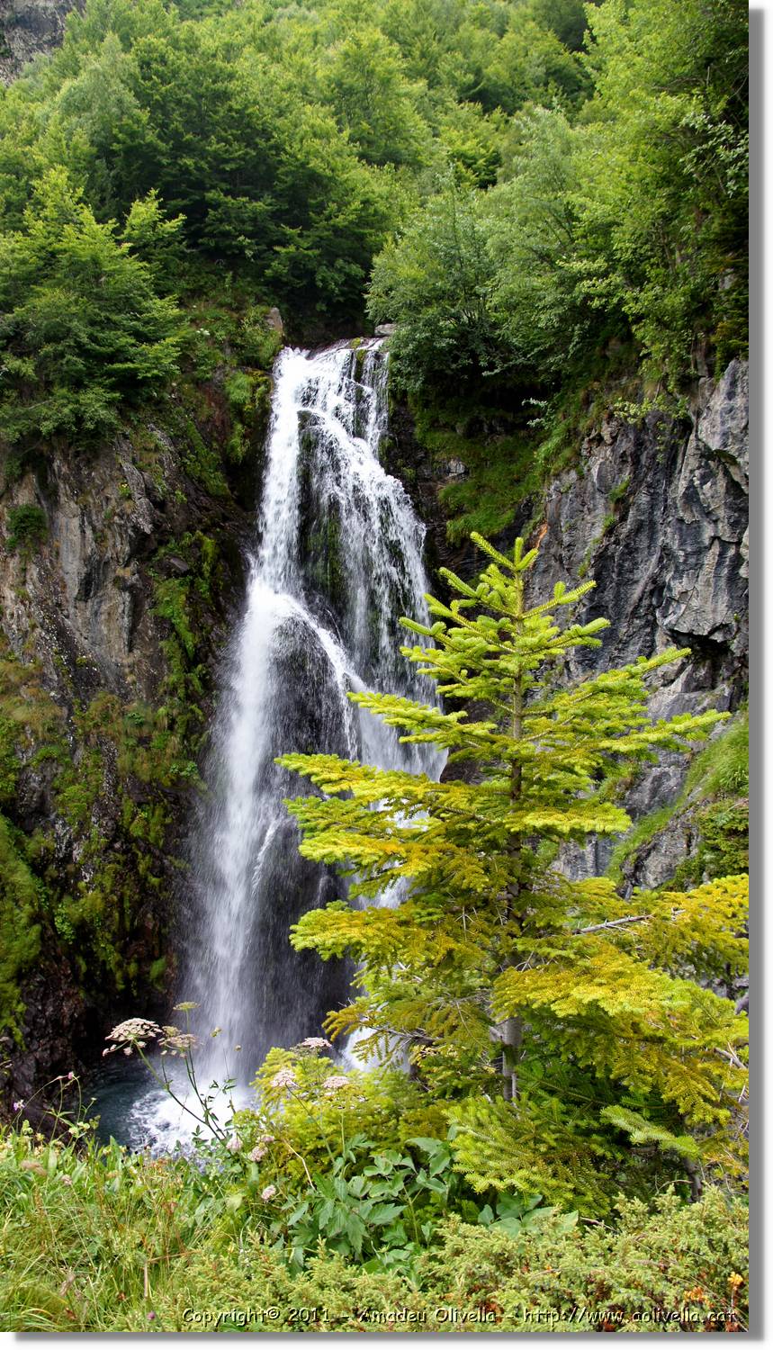 Saut_Pish_045.jpg