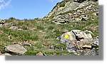 Mauberme 055.jpg