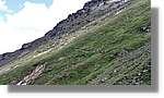 Mauberme 066.jpg