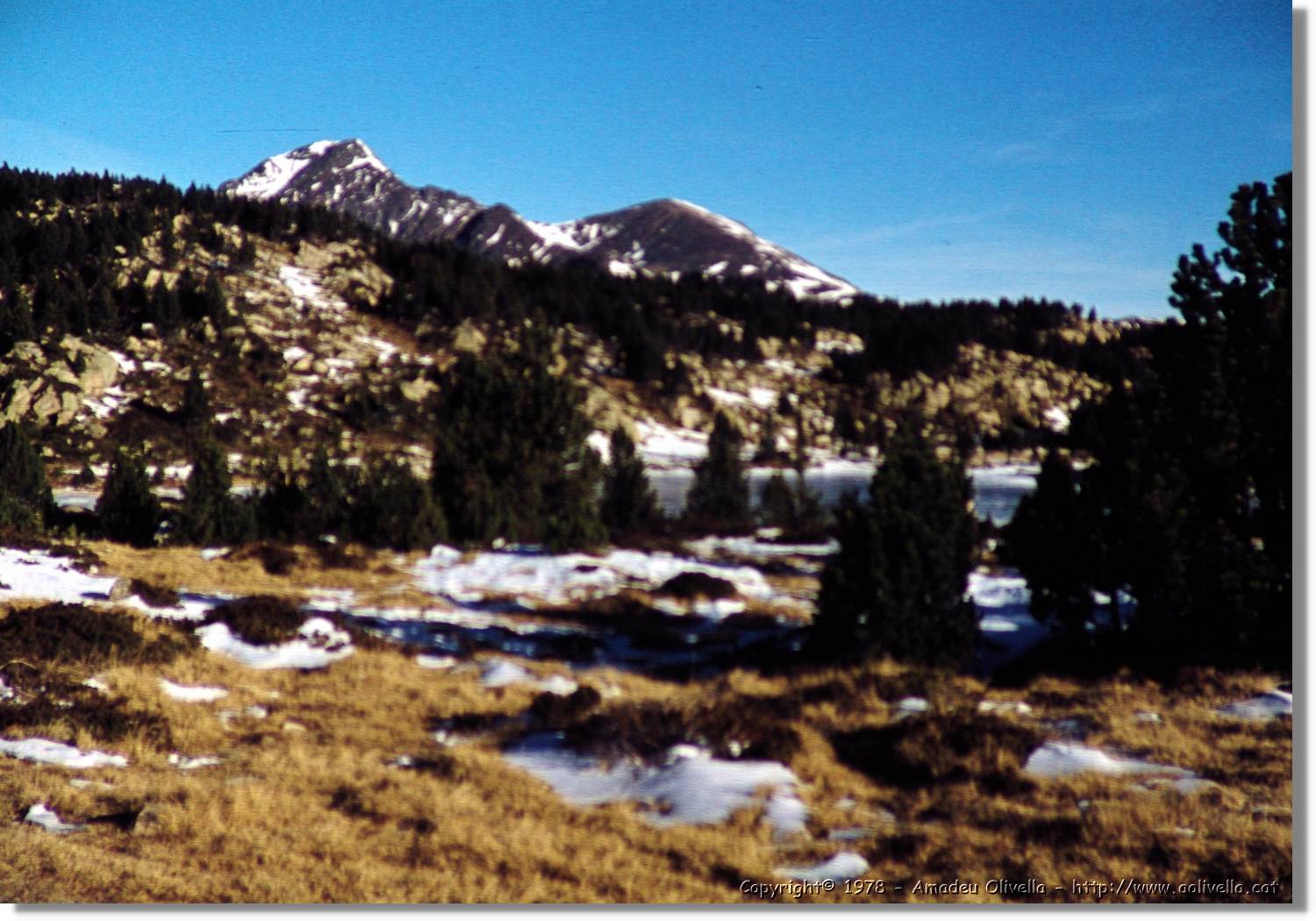 Carlit_006.jpg