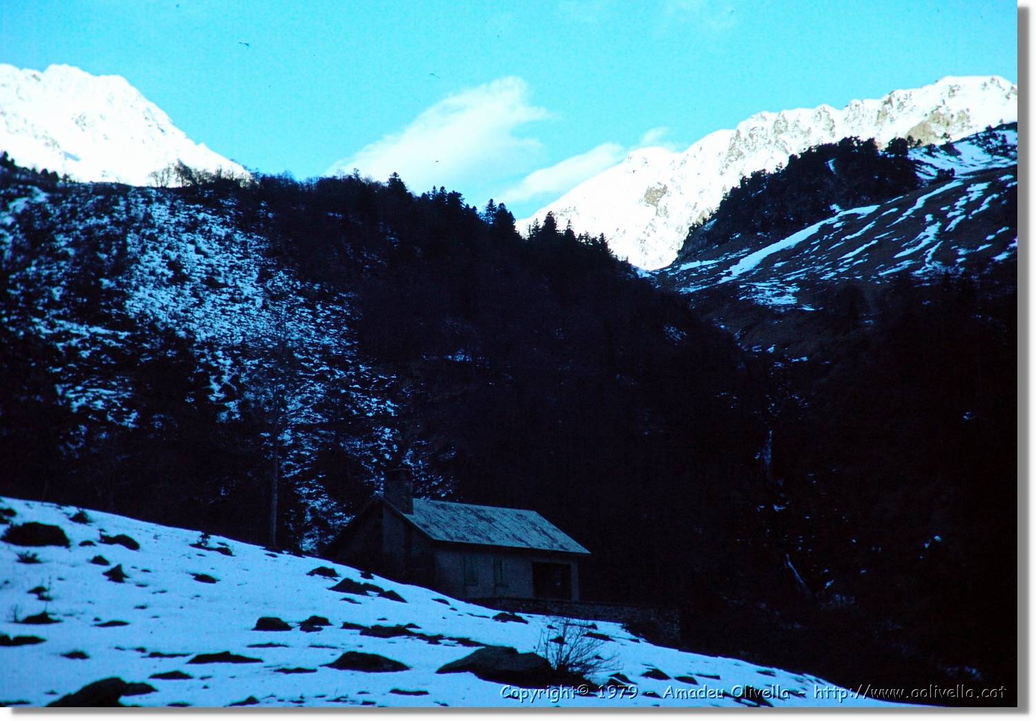 Artiga_002.jpg