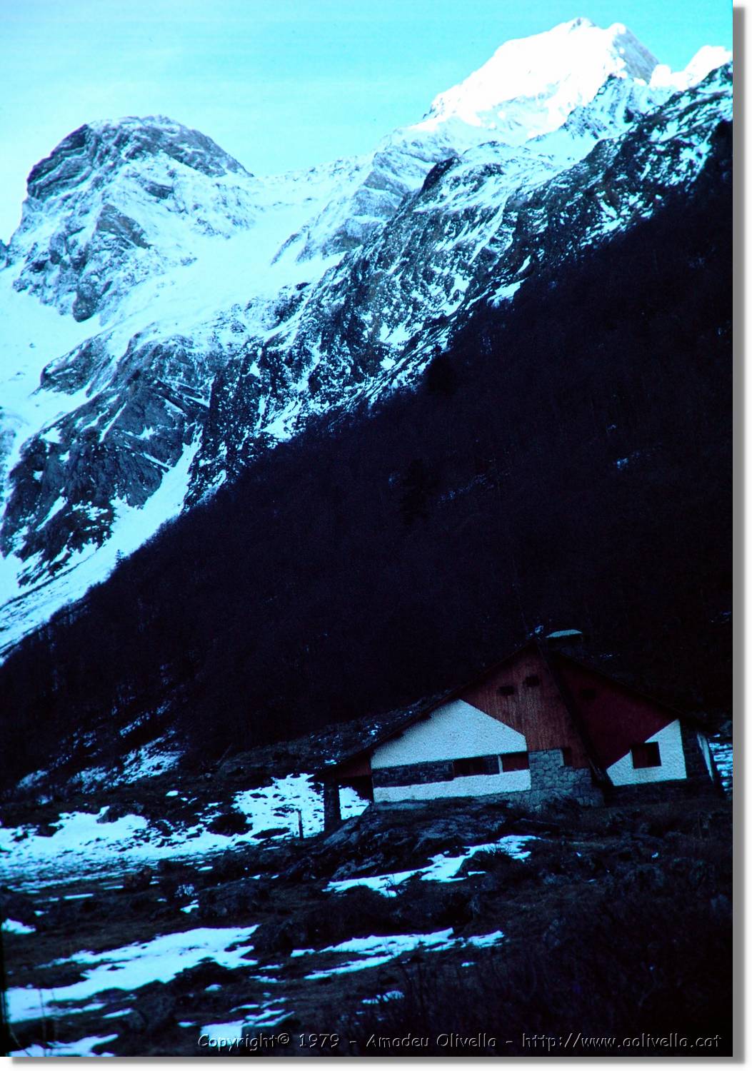 Artiga_003.jpg