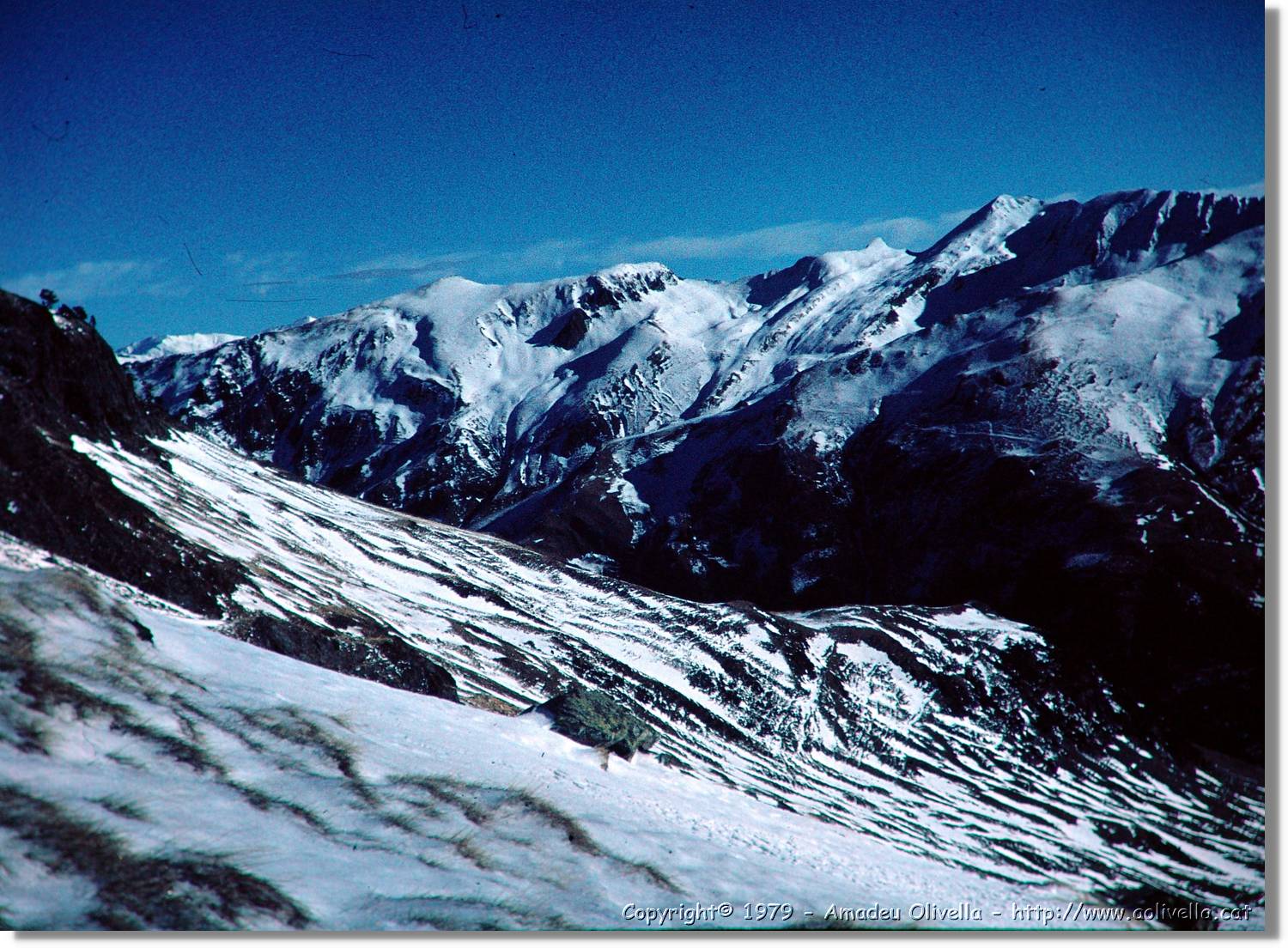 Artiga_009.jpg